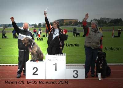 Bouvier BILL vd BARBIER HOEVE