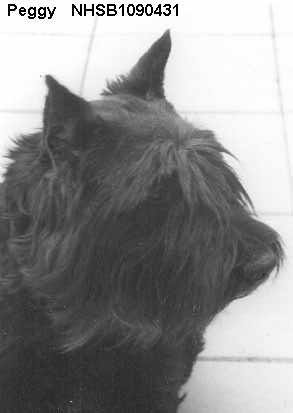 Bouvier PEGGY 