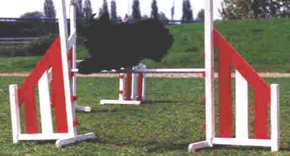 Bouvier ROBBIE XANDRA v CAYA'S HOME